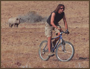  (Click to enlarge)